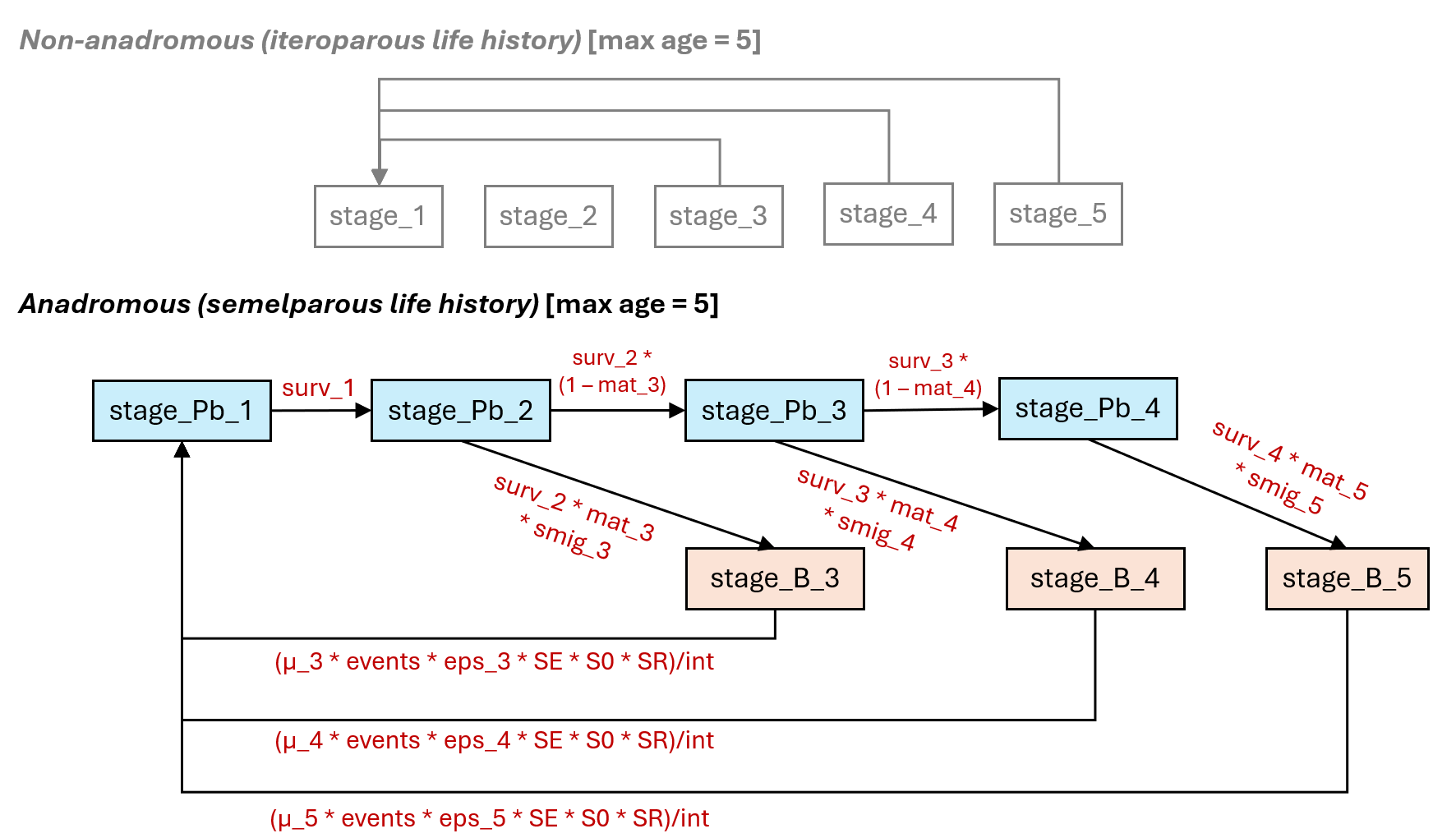 Generalized life history stage class transition diagram for anadromous species (example for Chinook Salmon)